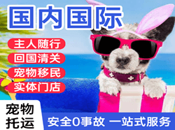 毕节飞雄空运地址国际宠物托运 【国